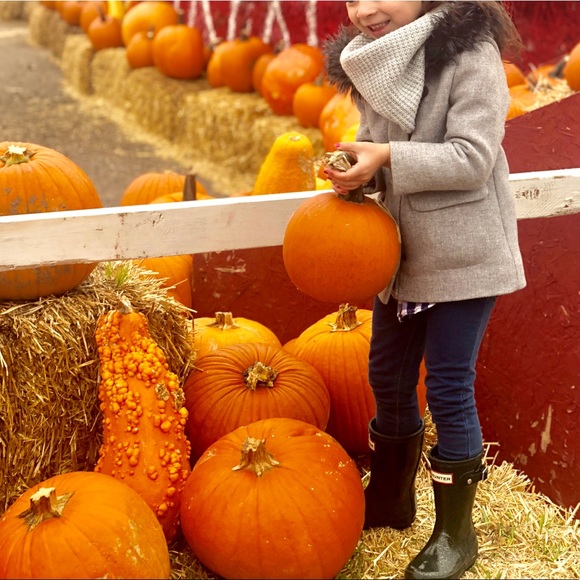 Zara Other - Zara Grey Coat